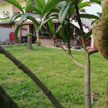 度假居 Paradiso 博戈里克